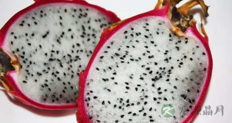 火龙果可以每天吃吗