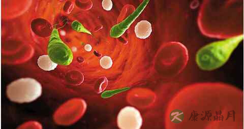 血脂稠吃什么油好