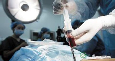 骨髓移植后的饮食