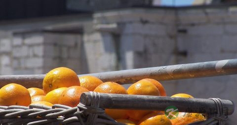 黄斑水肿怎么办