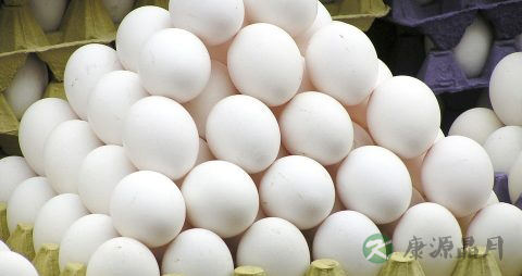 生吃鸡蛋会怎样
