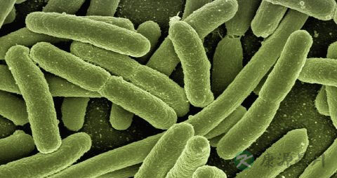 肚脐左侧是什么