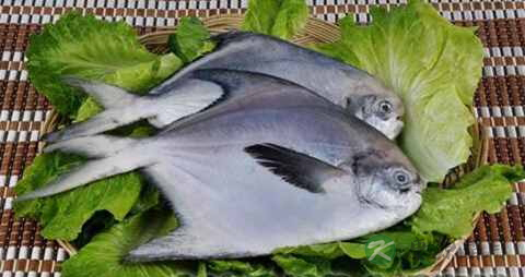 风湿不能吃什么