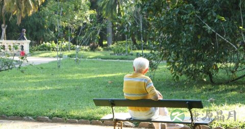 血脂升高怎么办