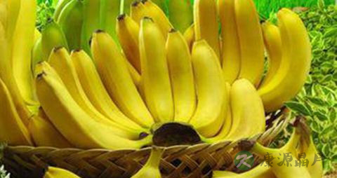 清热解毒类中药