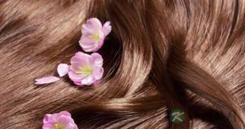 保养头发吃什么