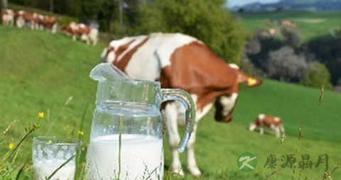 提升记忆力的食物