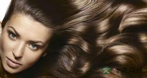 肾虚脱发还能长回来么