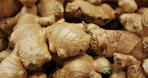 生姜变绿了还能吃吗