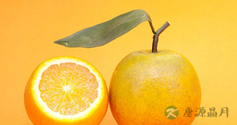 湿气重吃什么水果