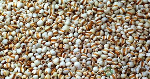 吃什么能去湿气