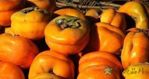 吃柿子不能吃什么