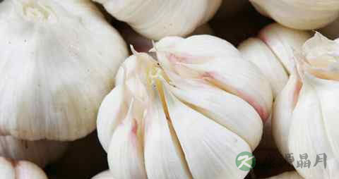 血脂稠吃什么油好