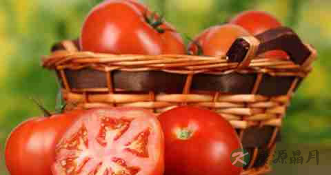 孩子吃什么提高抵抗力