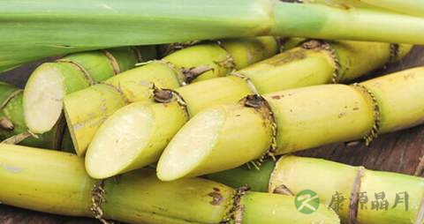 喝什么生津止渴