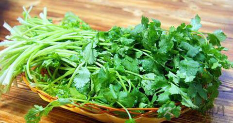 孕妇可以吃香菜吗