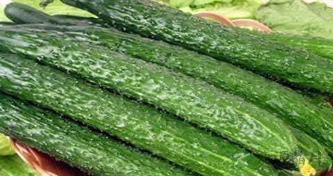 清热解毒的菜有哪些