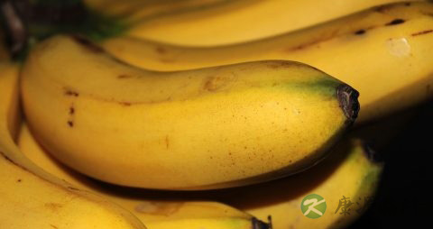 吃香蕉会胖吗