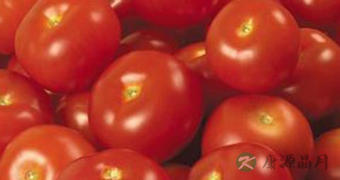 什么食物清热解毒