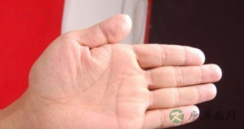 左手断掌纹的男人好不好