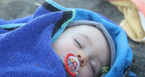 学生吃什么提高记忆力