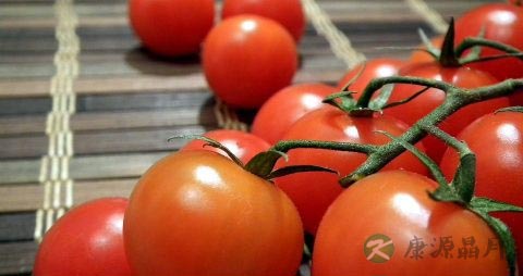 西红柿每天吃好吗