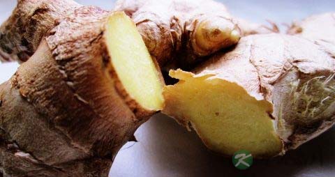 生姜发青还能吃吗