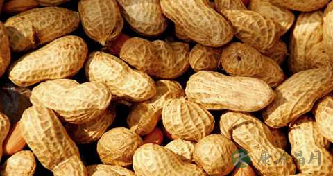 慢性咽炎能吃花生吗