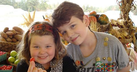 青少年吃什么补血