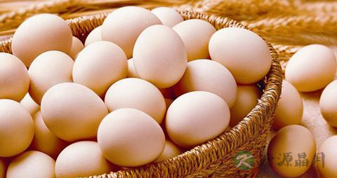 鸡蛋每天吃好吗