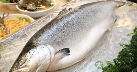 降血脂吃什么好