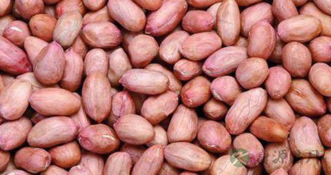 吃花生米会发胖吗