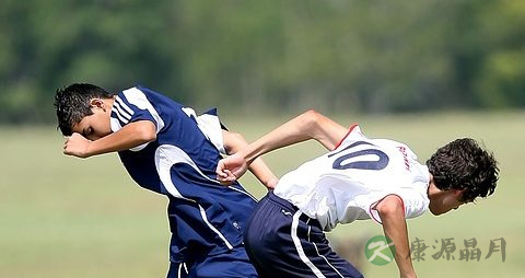 如何降血脂和胆固醇