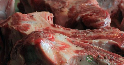 吃什么东西补骨髓