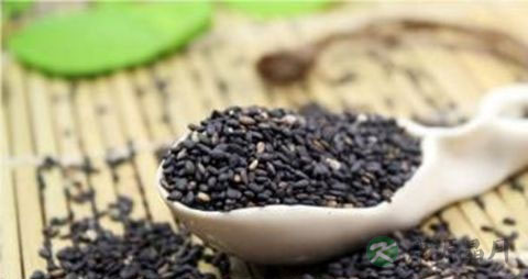 吃什么可以使头发长得快