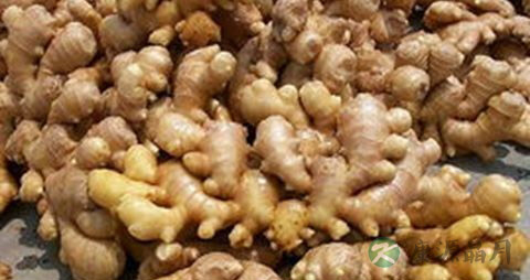 中医治疗脱发有效吗