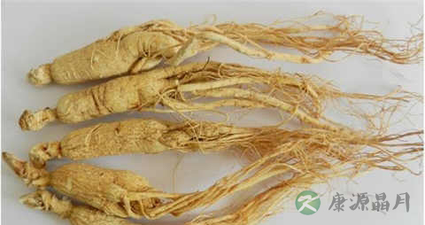 提高血压的食物有哪些