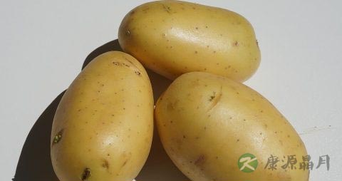 长芽的土豆还能吃吗