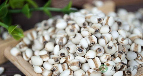 薏米生虫了还能吃吗