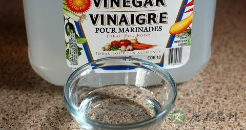 用什么醋洗脸好