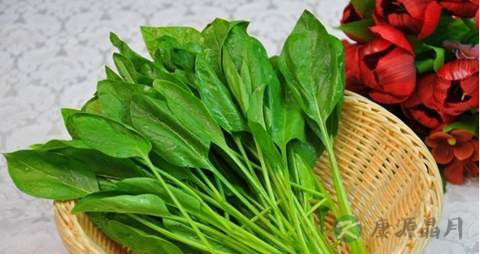 痛经时吃什么好