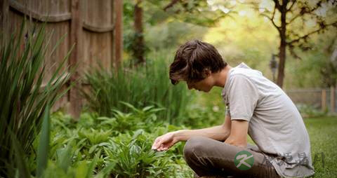 吃什么对发育好