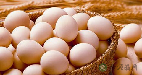 鸡蛋可以每天吃吗