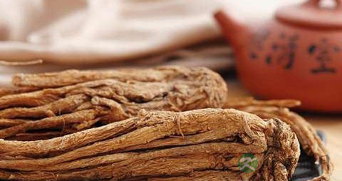 当归可以每天吃吗