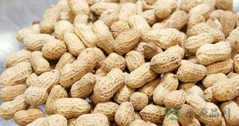吃花生米会发胖吗
