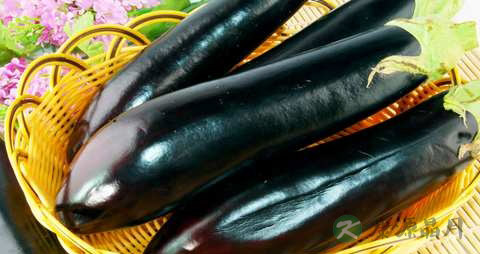 吃什么蔬菜降血压