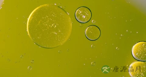 葵花籽油的作用