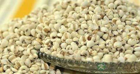 吃什么祛除湿气