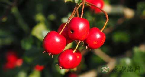 皮肤暗斑怎么办