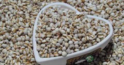 发育期的儿童如何科学的进补？